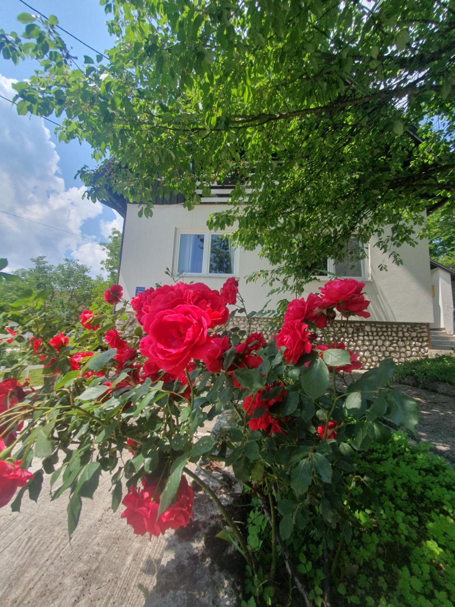 Guesthouse Nikola Plitvička Jezera Exterior foto