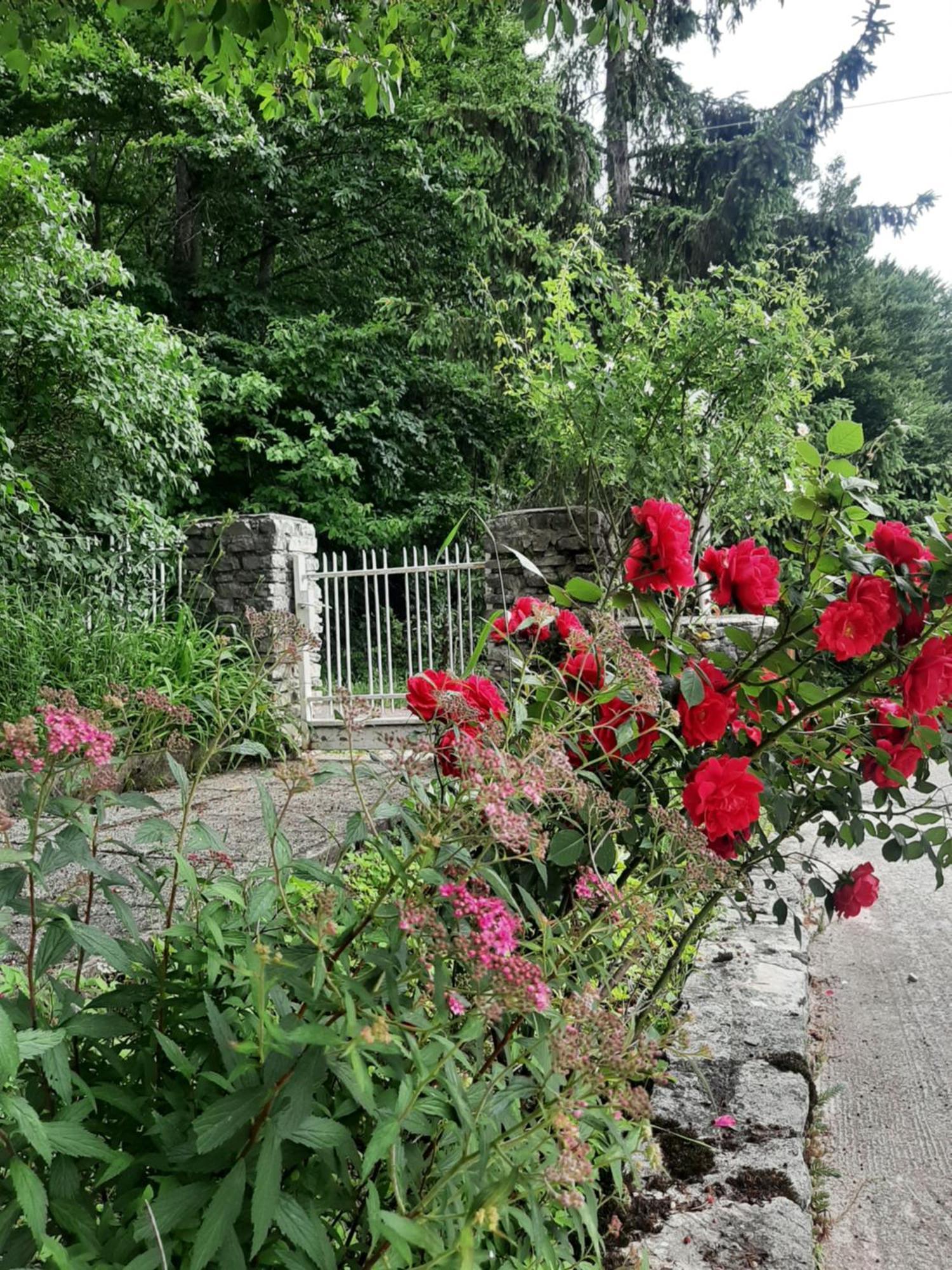 Guesthouse Nikola Plitvička Jezera Exterior foto